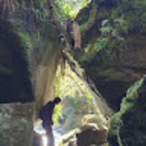 Meet your Posher, Beatrix